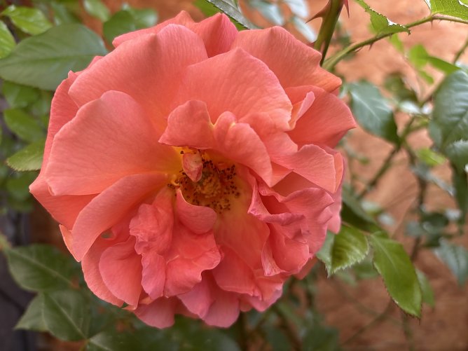 Die Wetterlage bleibt gewittrig (Foto: oas) Die Wetterlage bleibt gewittrig (Foto: oas)