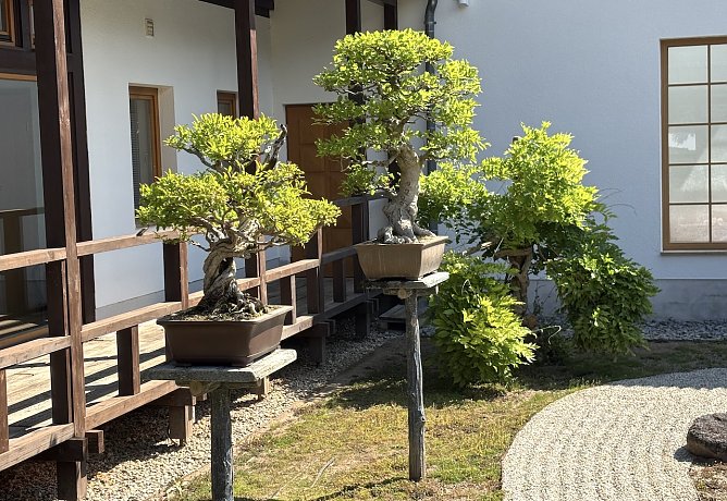 Nach der Hitze kommen Unwetter auf (Foto: oas) Nach der Hitze kommen Unwetter auf (Foto: oas)