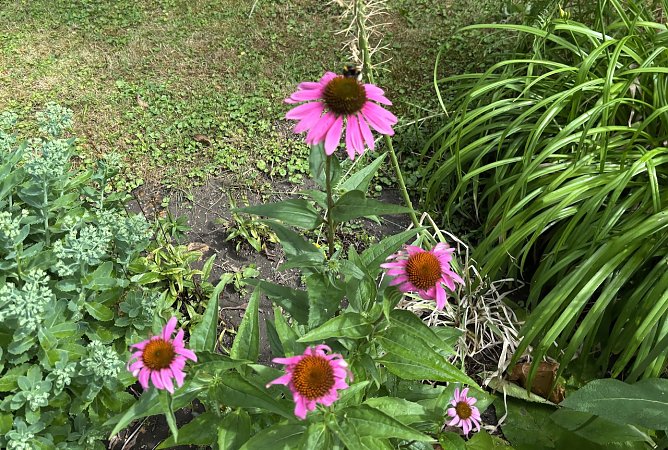Der Sommer l&auml;&szlig;t weiter auf sich warten (Foto: oas)