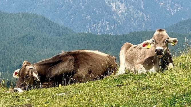 1. Waidring (Tirol) (Foto: Volker Weickert) 1. Waidring (Tirol) (Foto: Volker Weickert)