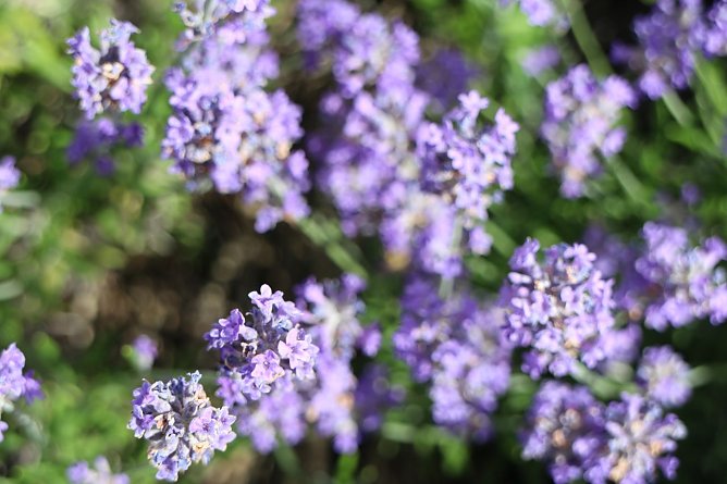 Wetterbild (Foto: agl) Wetterbild (Foto: agl)