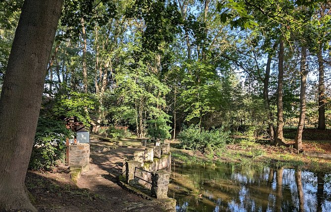 Sanierte Parkteiche in Thalebra (Foto: Janine Skara) Sanierte Parkteiche in Thalebra (Foto: Janine Skara)