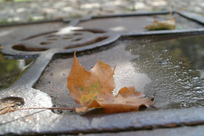 Wetterbild (Foto: agl) Wetterbild (Foto: agl)