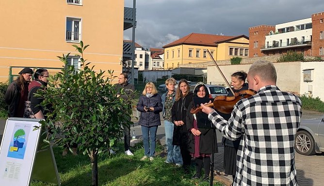 In Sondershausen wurde am Tag der seelischen Gesundheit ein Mispelbaum gepflanzt (Foto: Melanie Mechtold / Landratsamt Kyffh&auml;userkreis)