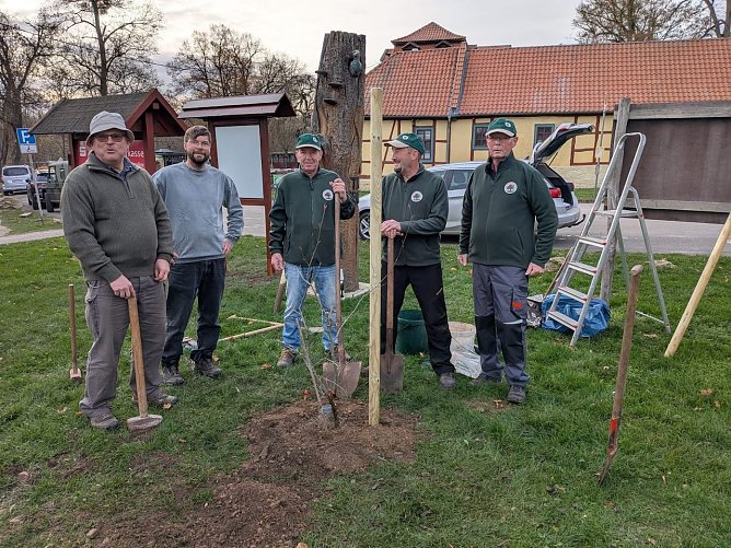 Mitglieder des Kulturwaltvereins pflanzen Blutbuche am Possen (Foto: Uwe Lumm) Mitglieder des Kulturwaltvereins pflanzen Blutbuche am Possen (Foto: Uwe Lumm)