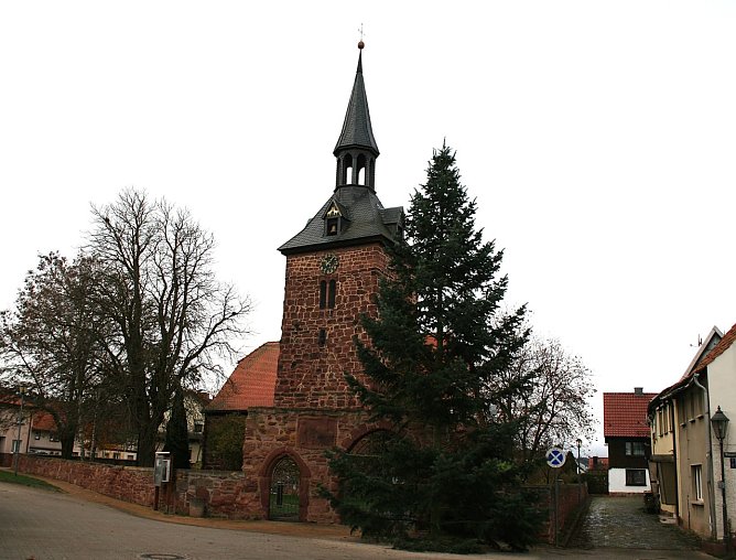 Der Kelbraer Weihnachtsbaum steht (Foto: Ulrich Reinboth) Der Kelbraer Weihnachtsbaum steht (Foto: Ulrich Reinboth)