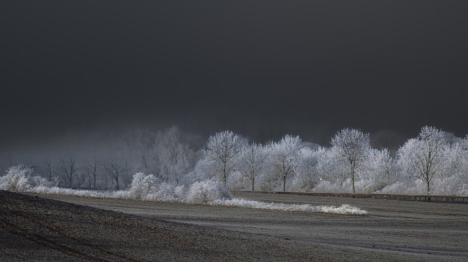 Faszination Rauhn&auml;chte (Foto: Jana Gro&szlig;)