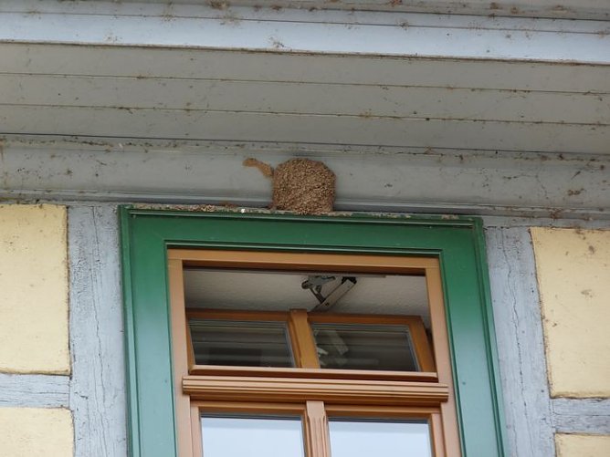 Tierisch gut (Foto: Karl-Heinz Herrmann) Tierisch gut (Foto: Karl-Heinz Herrmann)