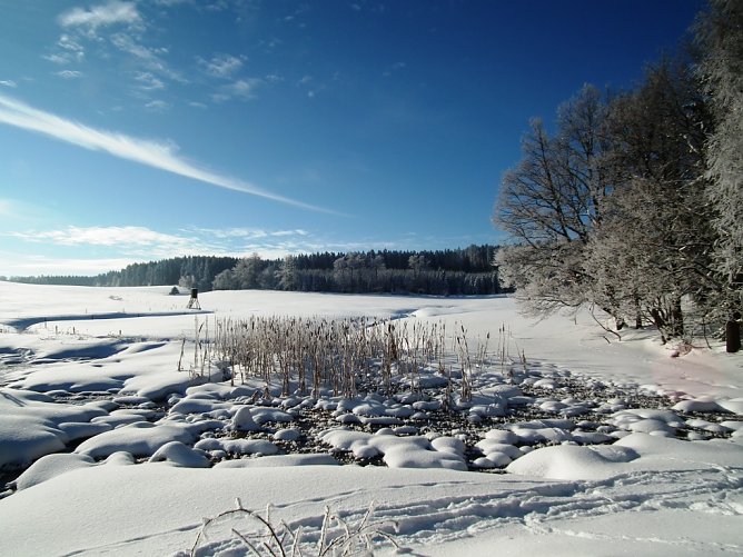Winterlandschaft im Schnee (Foto: Th&uuml;ringenForst)