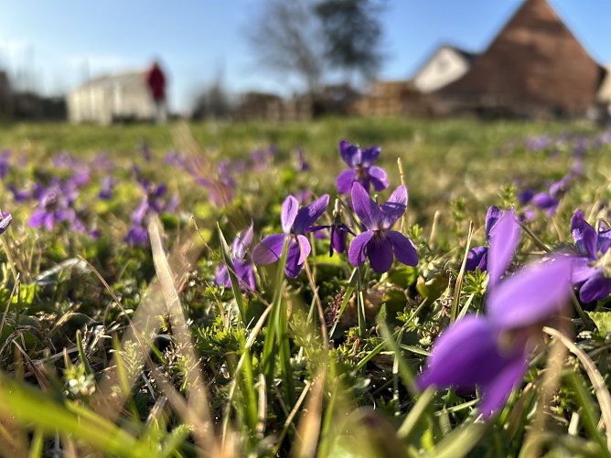 Wetterbild (Foto: S. Hartung)