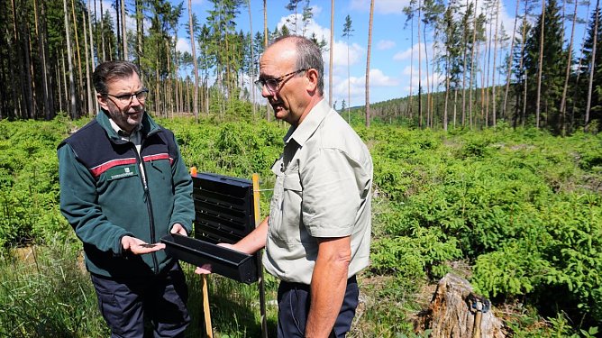Mit solchen Borkenk&auml;ferfallen kontrollieren Forstexperten, hier Mathias St&uuml;rtz (re.) und Dr. Horst Spro&szlig;mann, den Schwarmflug des K&auml;fers. Ort, Zeitpunkt, Richtung und Intensit&auml;t k&ouml;nnen so festgestellt werden (Foto: Th&uuml;ringenForst)