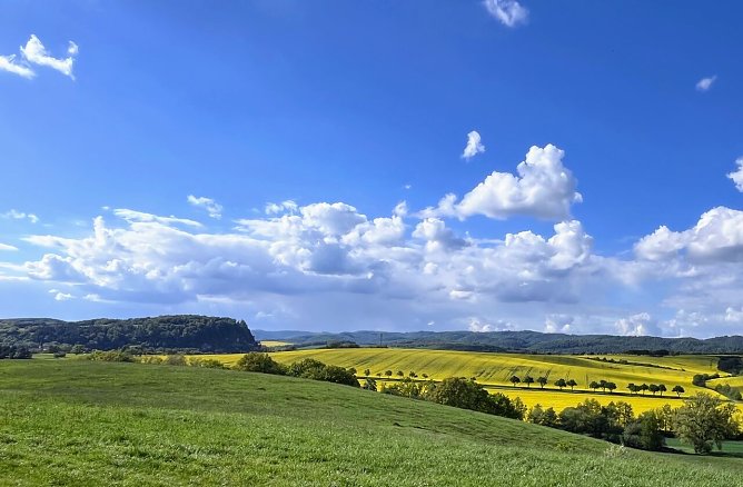 Symbolbild Frühling (Foto: ssc) Symbolbild Frühling (Foto: ssc)