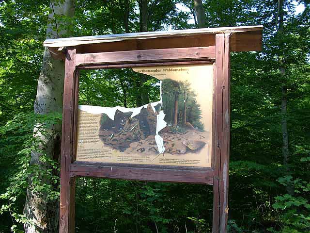 Tafel am Naturlehrpfad (Foto: Karl-Heinz Herrmann)