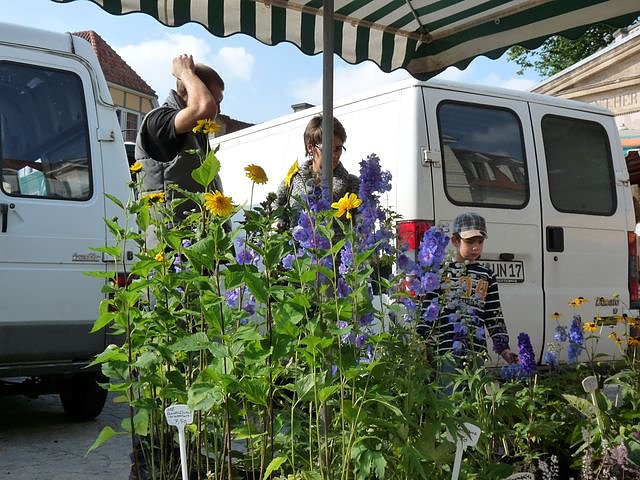 Herbstpflanzenmarkt (Foto: Karl-Heinz Herrmann)