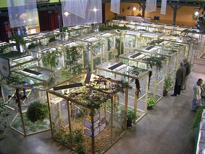 Vogelausstellung (Foto: Norbert Wenzl)