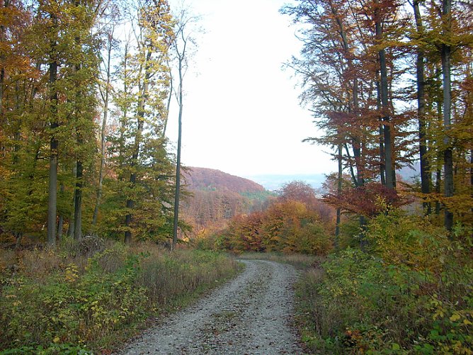 Frauenberg-Rundeweg Sondershausen (Foto: Karl-Heinz Herrmann)