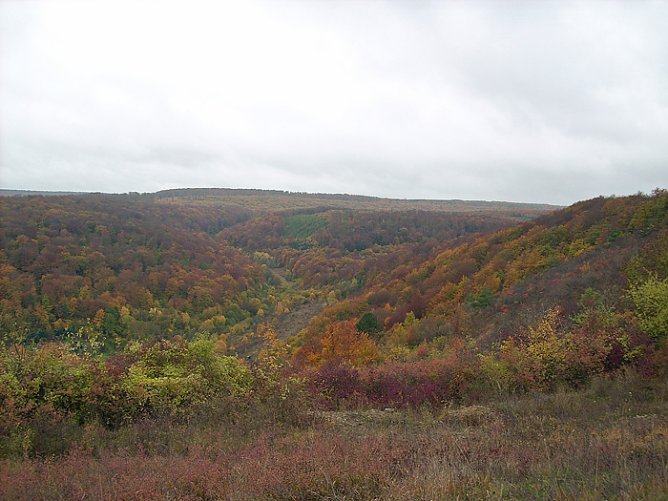 Frauenberg-Rundeweg Sondershausen (Foto: Karl-Heinz Herrmann)