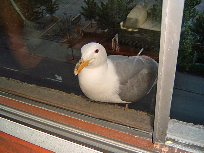Am&uuml;santes (Foto: Hans-J&uuml;rgen Schmidt)