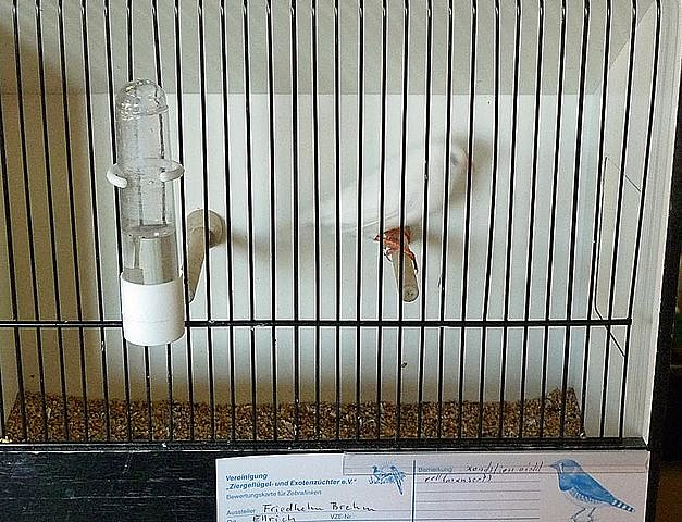 Vogelausstellung in Sondershausen (Foto: Karl-Heinz Herrmann)