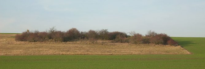 Gebiet ehemalige Schachtanlage (Foto: Karl-Heinz Herrmann)