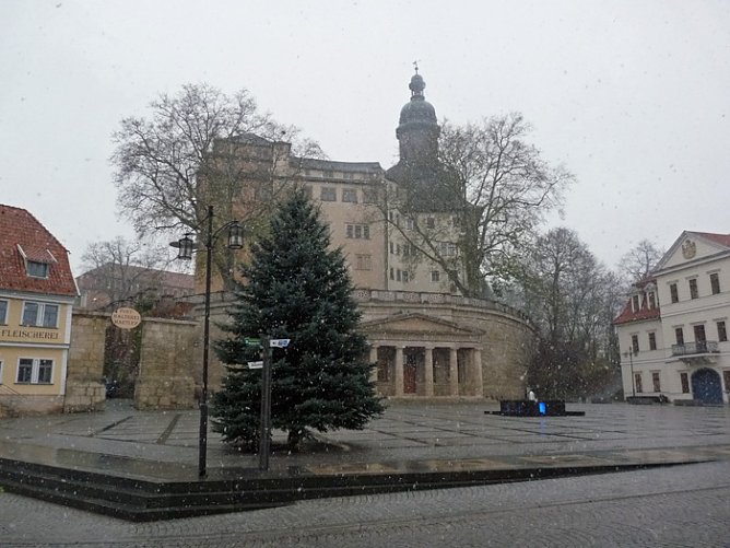 Weihnachtsbaum (Foto: Karl-Heinz Herrmann)