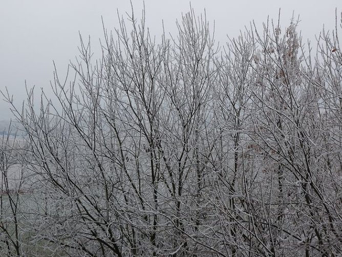 Start in den Advent (Foto: Karl-Heinz Herrmann) Start in den Advent (Foto: Karl-Heinz Herrmann)