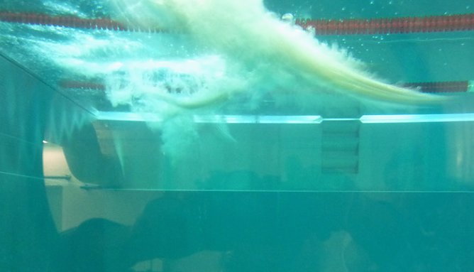 Kreisjugendspiele Schwimmen (Foto: Karl-Heinz Herrmann)