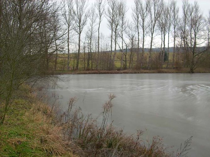 Zugefrorener Hammateich (Foto: Karl-Heinz Herrmann) Zugefrorener Hammateich (Foto: Karl-Heinz Herrmann)