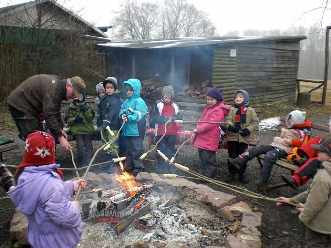 Tiere unserer Heimat im Winter (Foto: Kindervilla Bad Frankenhausen)