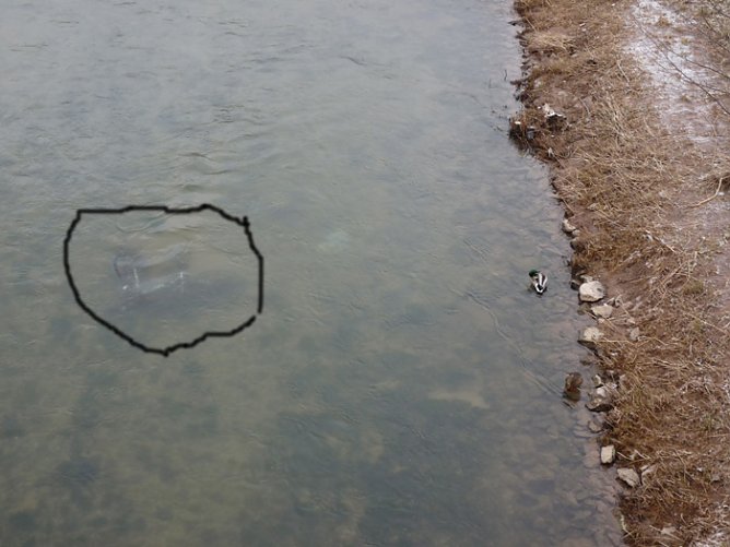 Fahrrad in der Wipper (Foto: Karl-Heinz Herrmann)