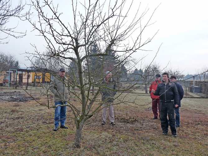 Baumschnittseminar (Foto: Karl-Heinz Herrmann)