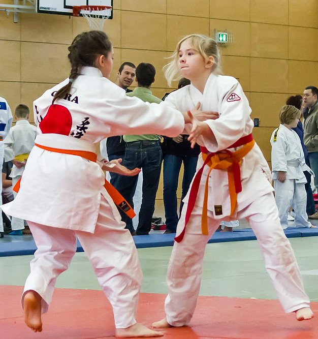 Bild: 3 Starter, 3 Medaillen