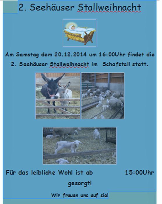 Bild: 2. Seeh&auml;user Stallweihnacht