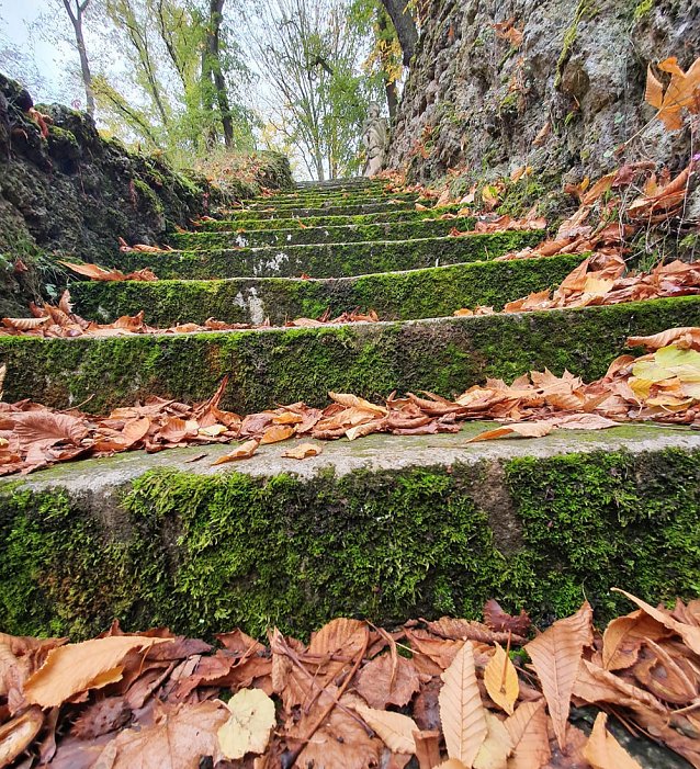 Bild: Herbstlicher Arbeitseinsatz am 24.10.2020