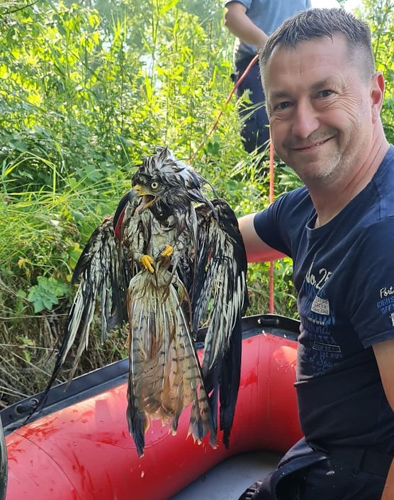 Bild: Tierische Rettungsaktion