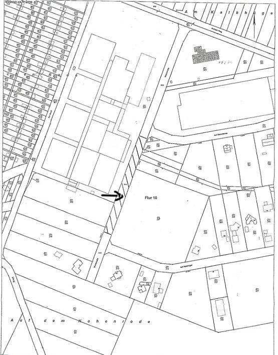 Bild: Stadtrat