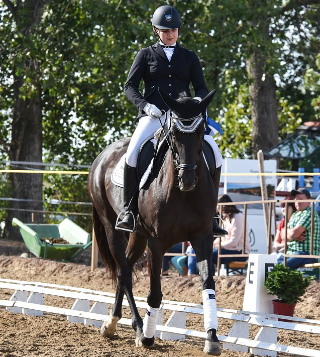Bild: Reitturnier in Heygendorf