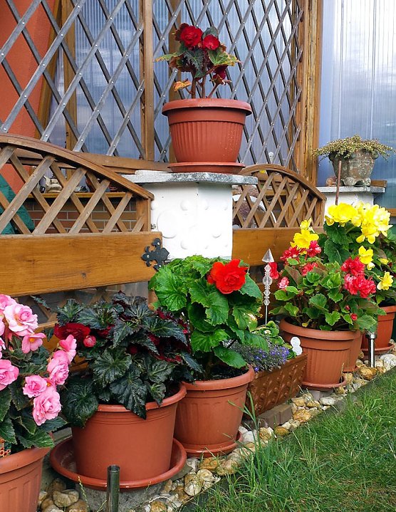 Bild: Das Gartenjahr 2019 geht zu Ende�