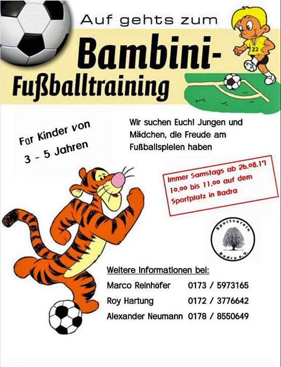 Bild: Bambini Fu&szlig;ballturnier im Sommer