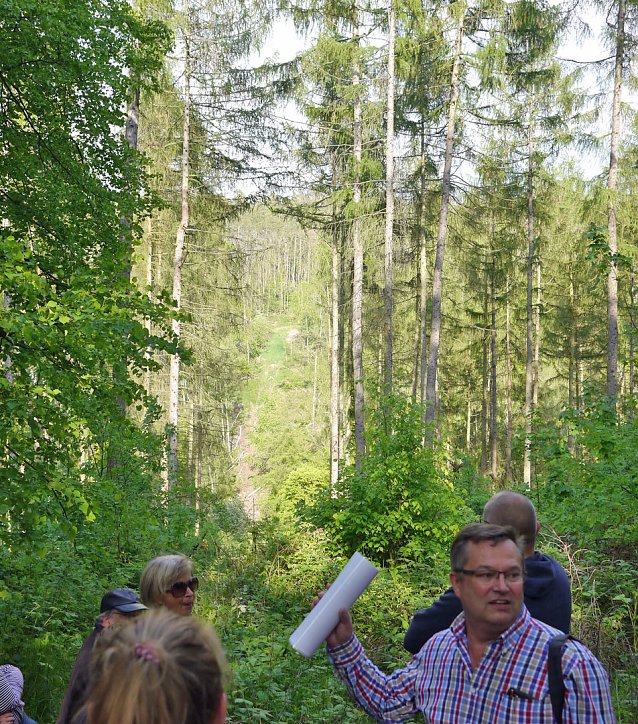 Bild: H&auml;ngeseilbr&uuml;cke im B&auml;rental