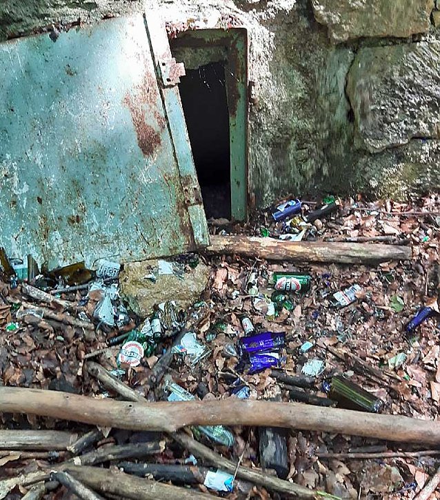 Bild: Verm&uuml;llung im Wald