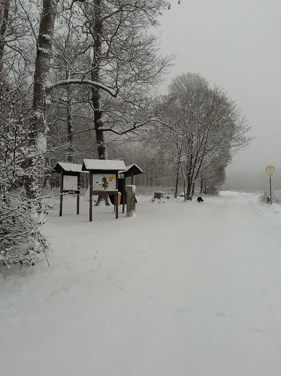 Bild: Winterwetter in Sophienhof