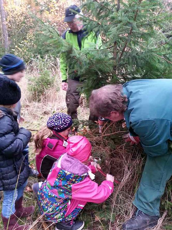 Bild: Ein Tannenbaum f&uuml;r unsere Kindervilla