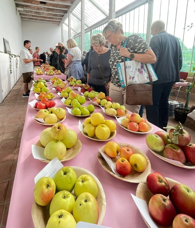 Bild: Obstsortentag in der Orangerie