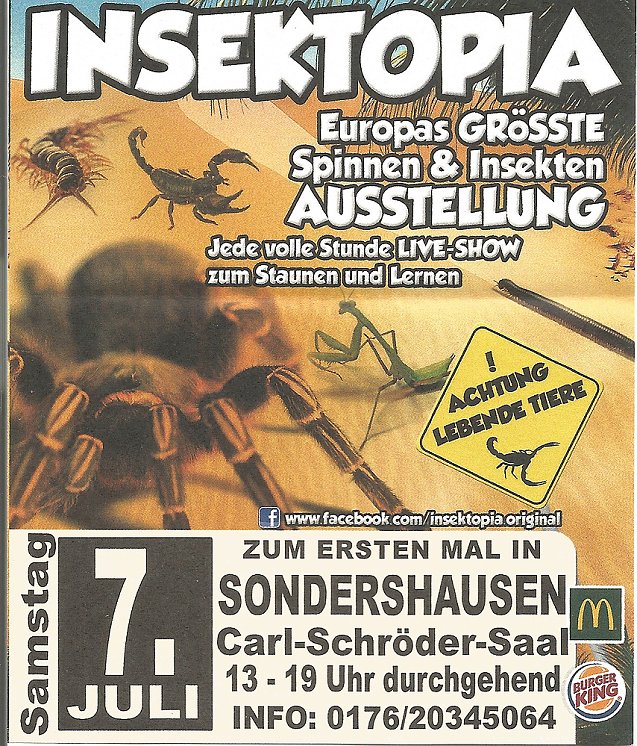Bild: Insektopia