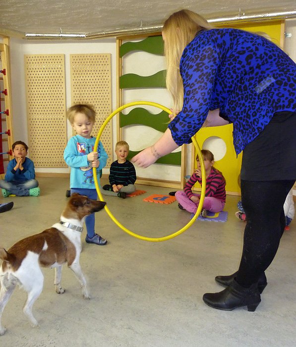 Bild: Hunde in der Kindervilla