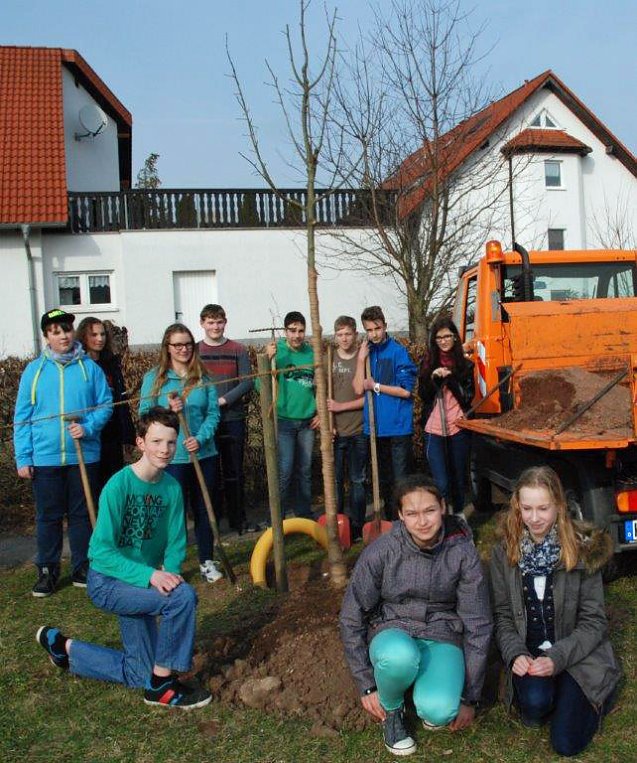 Bild: Kleines Jubil&auml;um - Der 5. Baum