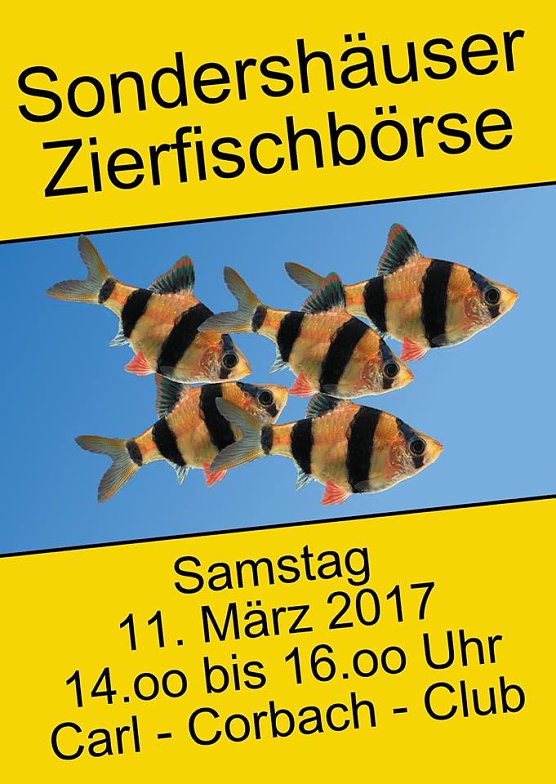 Bild: Tipps