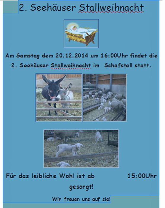 Bild: 2. Seeh&auml;user Stallweihnacht