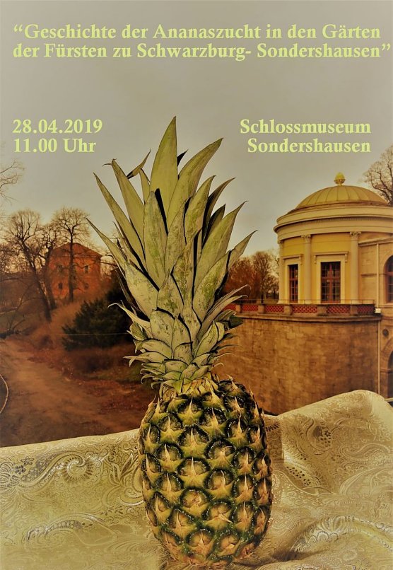 Bild: Ananasf&uuml;hrung im Schloss